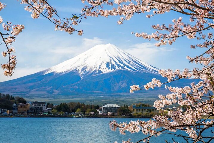 Mount Fuji Highlights Minibus（small group） Tour from Tokyo