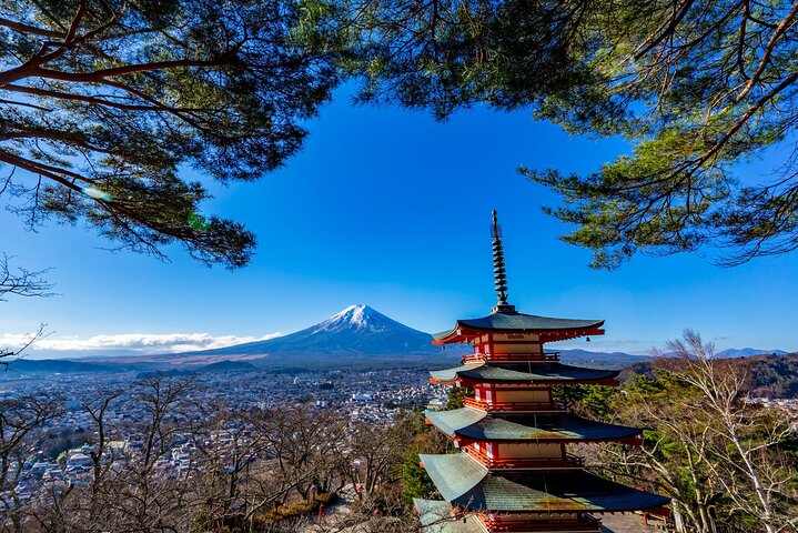 Mount Fuji Highlights Minibus（small group） Tour from Tokyo