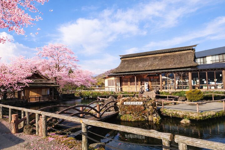 Mount Fuji Highlights Minibus（small group） Tour from Tokyo