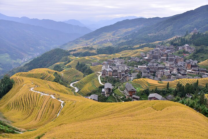 Guilin: Longji Terraces, Yao Village, & Jinkeng join in Tour