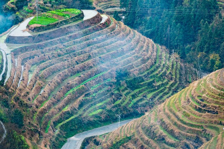 Guilin: Longji Terraces, Yao Village, & Jinkeng join in Tour