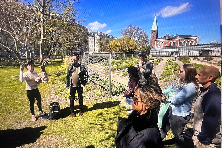 Original Copenhagen food tour: 8 tastings, full meal & VIP access