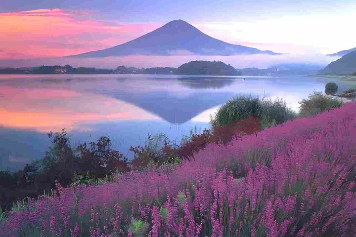 Mount Fuji Highlights Minibus（small group） Tour from Tokyo