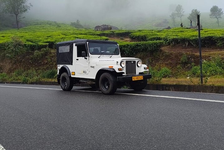 Wild Life Anakulam Jeep Safari
