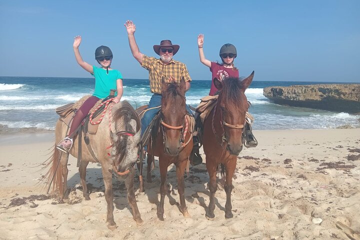 Aruba Ecological & Coastline Horseback Ride with Beach Photo Stop