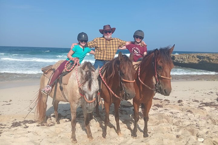 Aruba Ecological & Coastline Horseback Ride with Beach Photo Stop