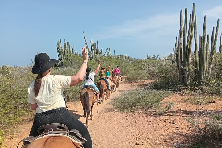 Aruba Ecological & Coastline Horseback Ride with Beach Photo Stop
