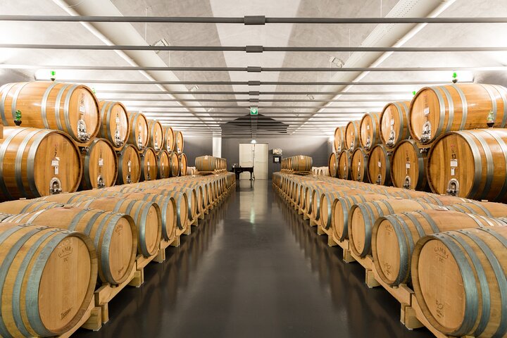 Wine lovers experience in Montepulciano: full day