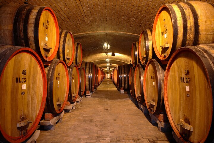 Wine lovers experience in Montepulciano: full day