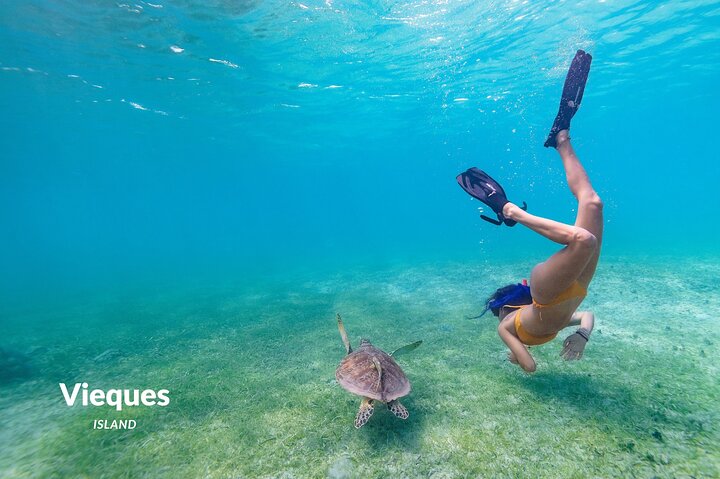 All Inclusive Snorkel and Slide Boat Tour: Icacos or Vieques