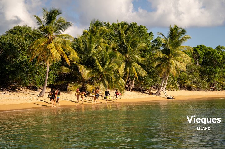 All Inclusive Snorkel and Slide Boat Tour: Icacos or Vieques