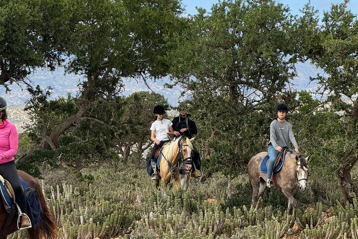 Horse Ride Taghazout Morocco