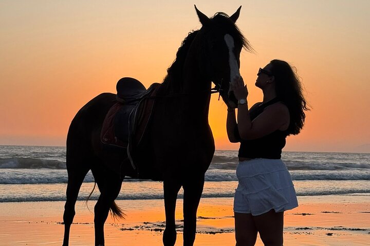 Horse Ride Taghazout Morocco