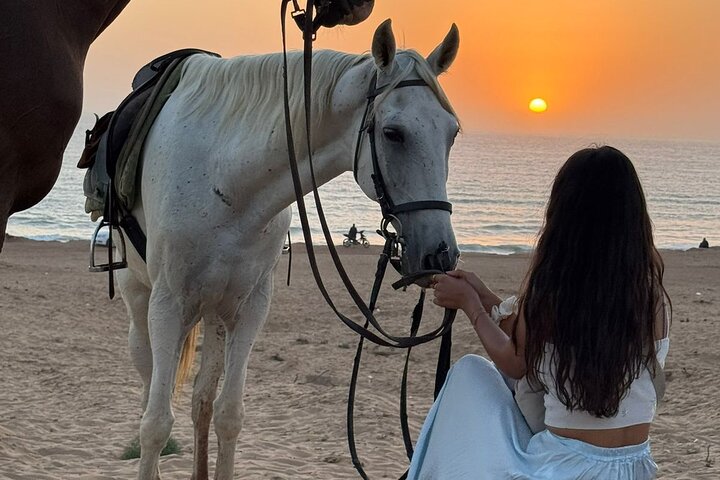 Horse Ride Taghazout Morocco