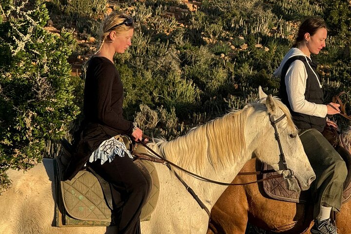 Horse Ride Taghazout Morocco