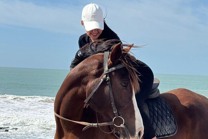 Horse Ride Taghazout Morocco