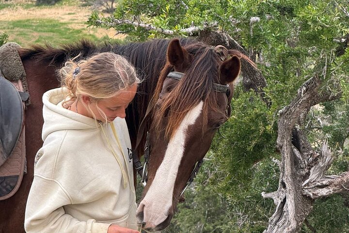 Horse Ride Taghazout Morocco