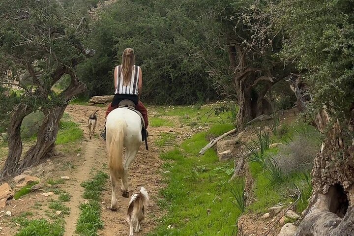 Horse Ride Taghazout Morocco