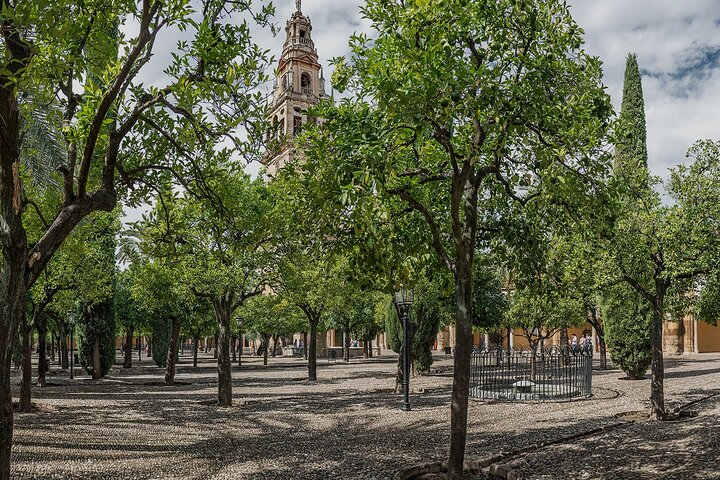 Cordoba: Mosque-Cathedral E-Ticket with Audio Guide