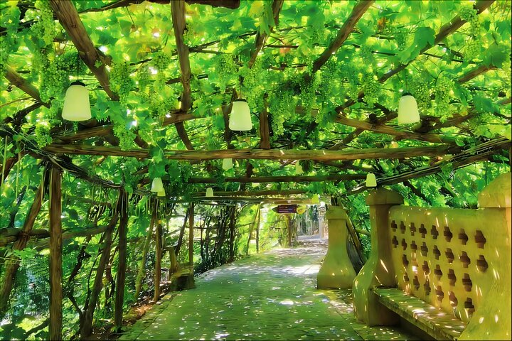 Flexible Private Turpan Day Tour from Urumqi