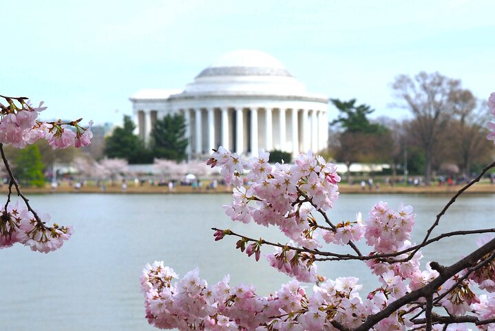 DC in a Day: 10+ Monuments, Boat Cruise, National Mall, Tickets