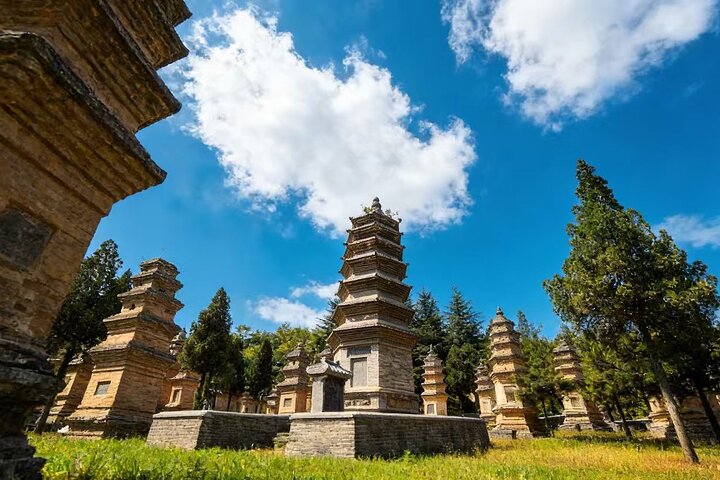 All Inclusive Luoyang Private Day Tour to Shaolin Temple and Longmen Grottoes
