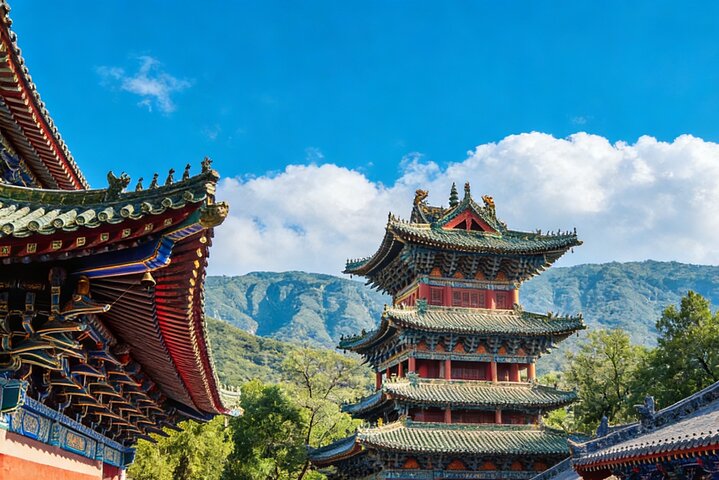 Luoyang Private Tour to Shaolin Temple including Kungfu Lesson