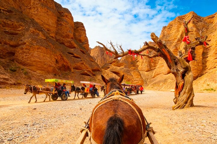 Lanzhou Private Day Tour to Yellow River Stone Forest