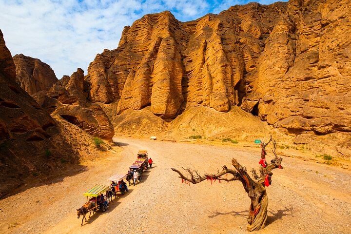 Lanzhou Private Day Tour to Yellow River Stone Forest