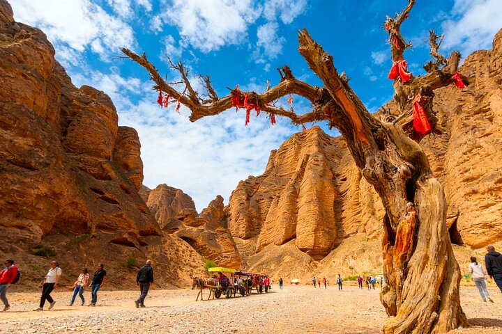 Lanzhou Private Day Tour to Yellow River Stone Forest