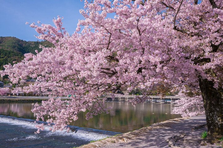 Osaka/Kyoto: Arashiyama, Fushimi Inari & Nara Park Day Trip
