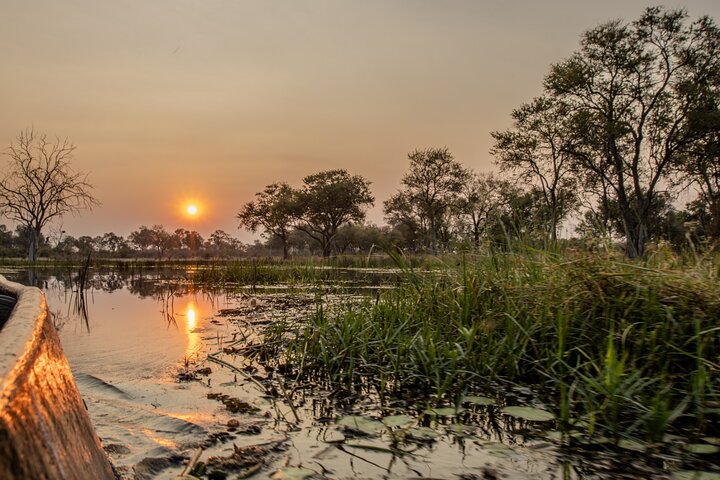 Luxury Okavango Safari - 3 Day