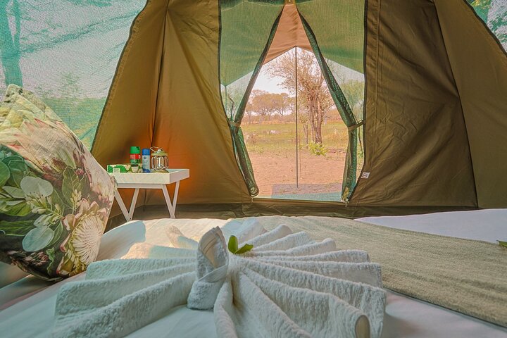 Luxury Okavango Safari - 3 Day