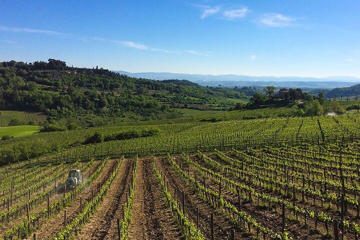 Wine lovers experience in Montepulciano: full day