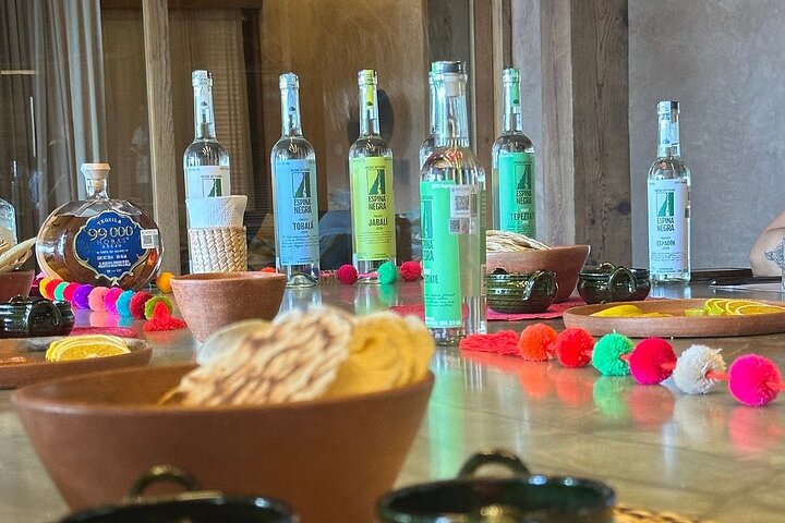 Tequila and Mezcal Tasting in Puerto Escondido