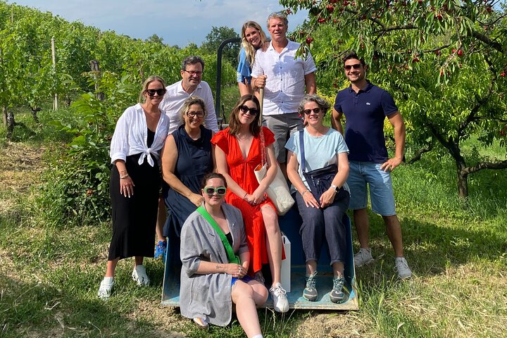 Barolo and Barbaresco Private Wine Tasting Tour