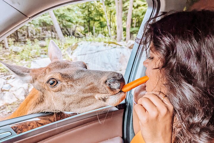 Ottawa Parc Omega Private Tour with Hotel Transfer