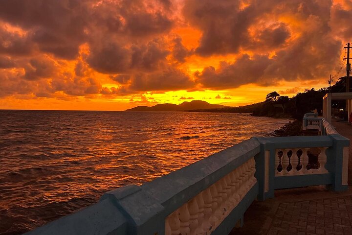 Vieques Bio Bay Tour and Beach Day Trip from San Juan by Ferry