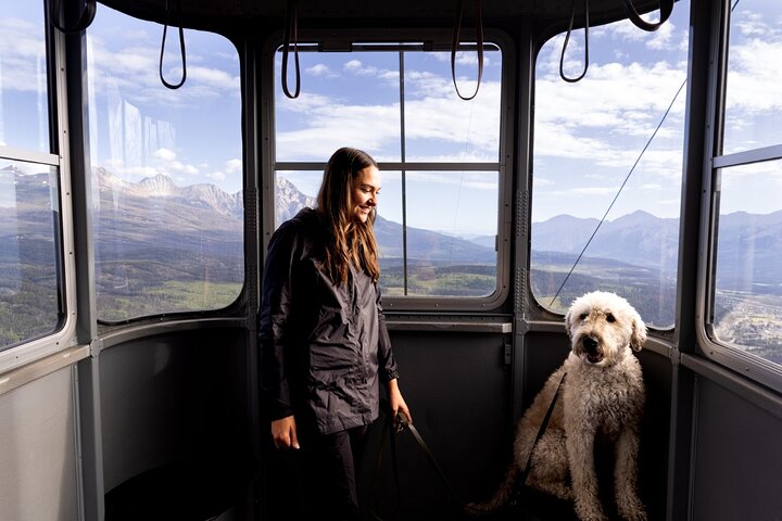 Jasper SkyTram Roundtrip Flight Ticket