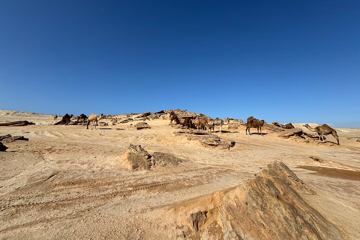 4×4 Adventure in the Dajla Desert – White Dune and Oasis Imlili