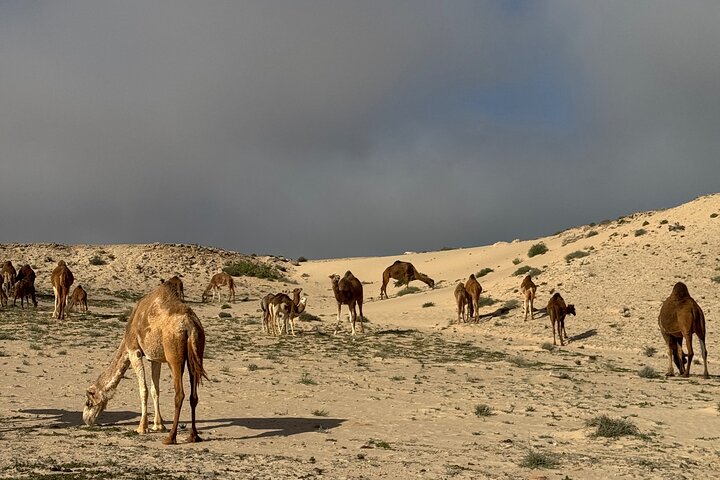 4×4 Adventure in the Dajla Desert – White Dune and Oasis Imlili