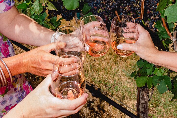 Private Pink Mini Cooper Limo Wine Tour in Fredericksburg