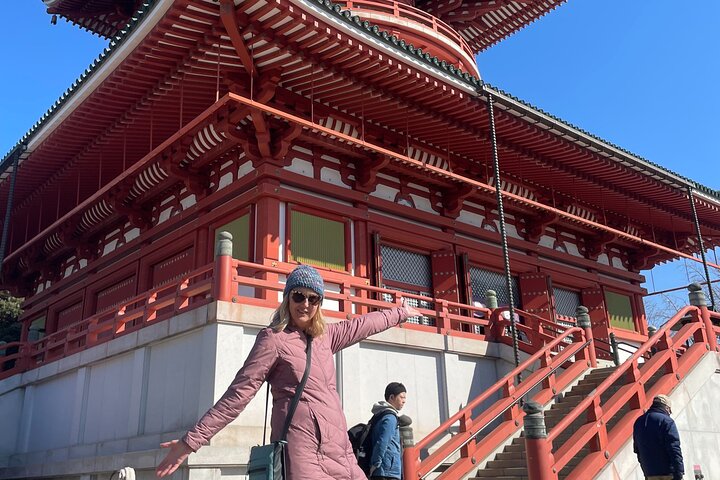 Narita Airport Layover Transit: Guided Private Tour