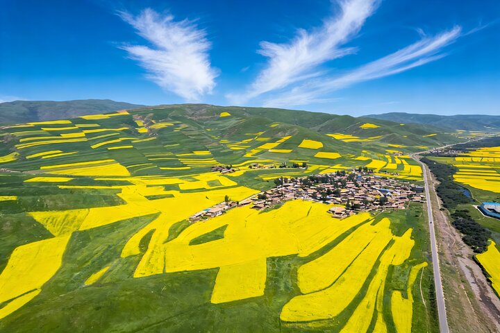 Private Xining Day Trip to Qinghai Lake with Flexible Departure Time