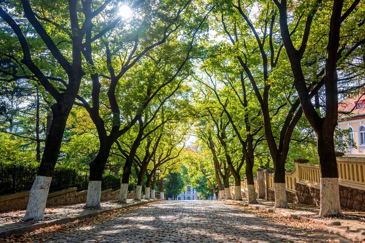 Qingdao Private Tour: Laoshan Mountain&Customized City Highlights