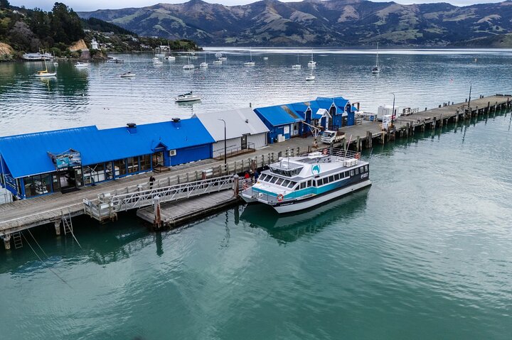 Akaroa Harbour Nature Cruise