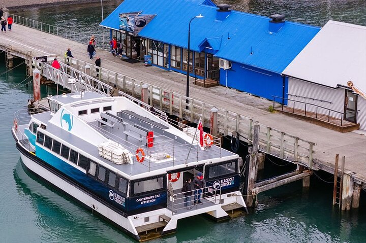 Akaroa Harbour Nature Cruise