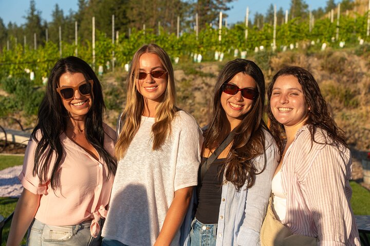 Kelowna Wine Tour by E-Bike with Tastings, Lunch & Okanagan Views