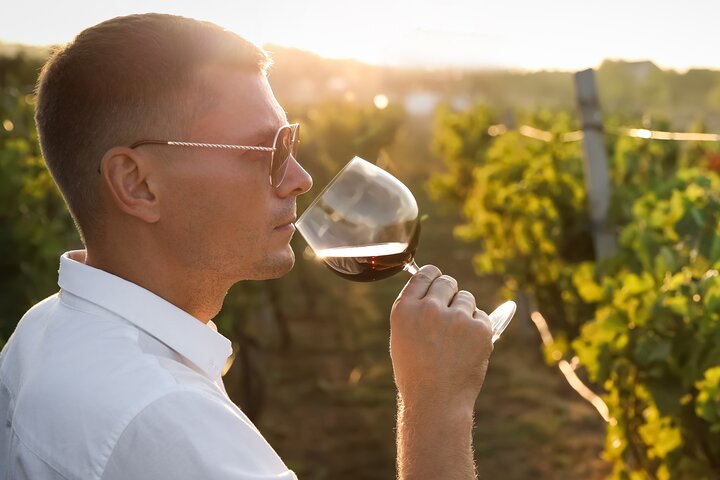 Kelowna Wine Tour by E-Bike with Tastings, Lunch & Okanagan Views