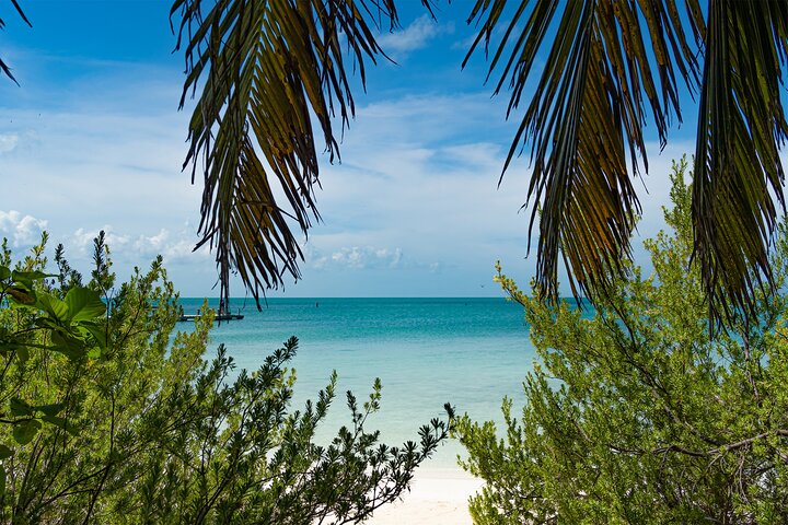 Private Isla Contoy and Isla Mujeres Tour with Snorkeling